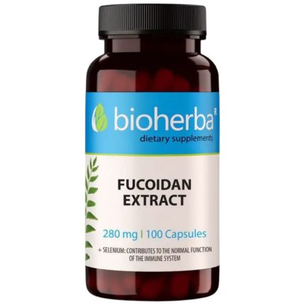 Fucoidan Extract 280 mg