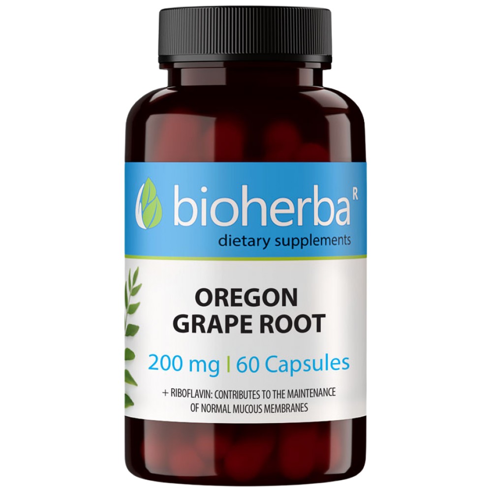 oregon_grape_200_60-c56834c-1000x1000xwhite Oregon Grape Root 200 mg - Image 1